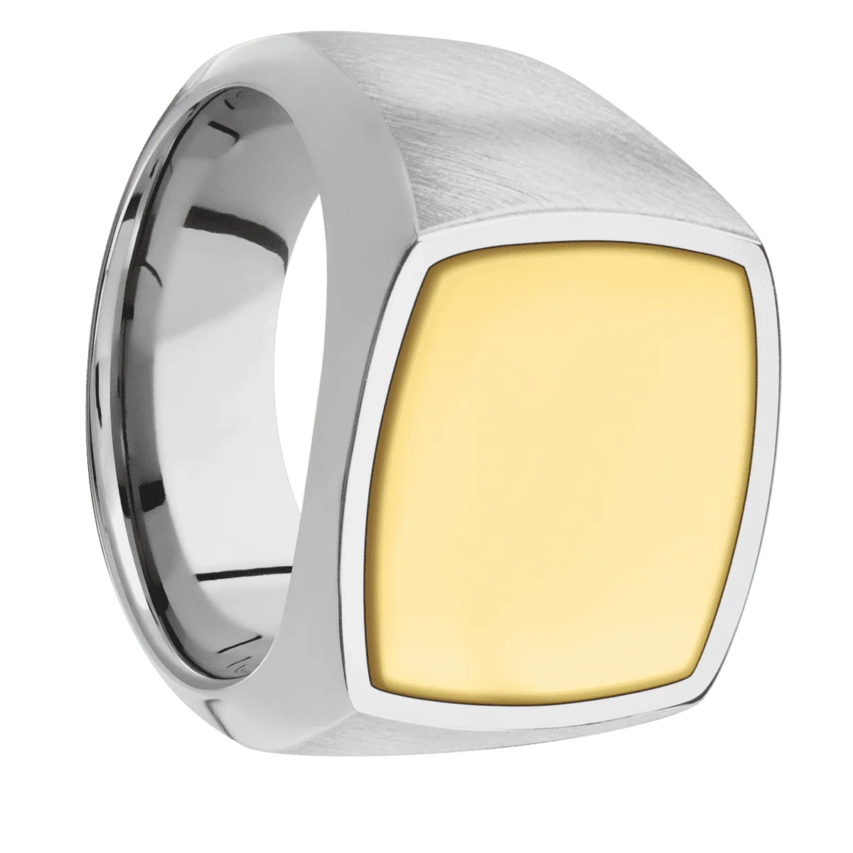 Large Cushion signet ring (18x18mm) in Titanium, with a Wide style band, a 14K Yellow Gold inlay.