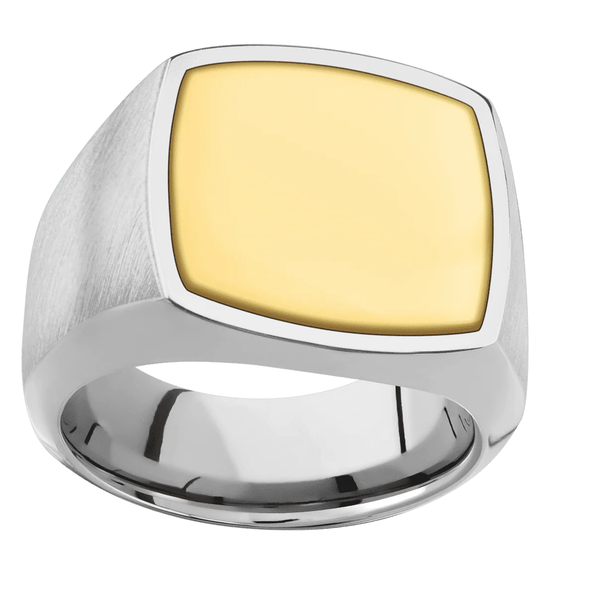 Large Cushion signet ring (18x18mm) in Titanium, with a Wide style band, a 14K Yellow Gold inlay. - Image 3