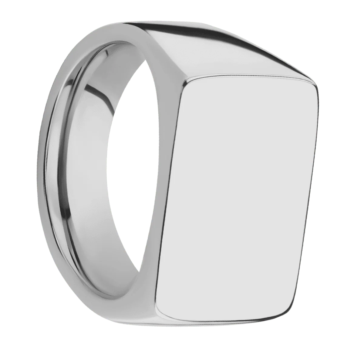 Large Horizontal Rectangle signet ring (20x14.5mm) in Titanium, with a Wide style band.