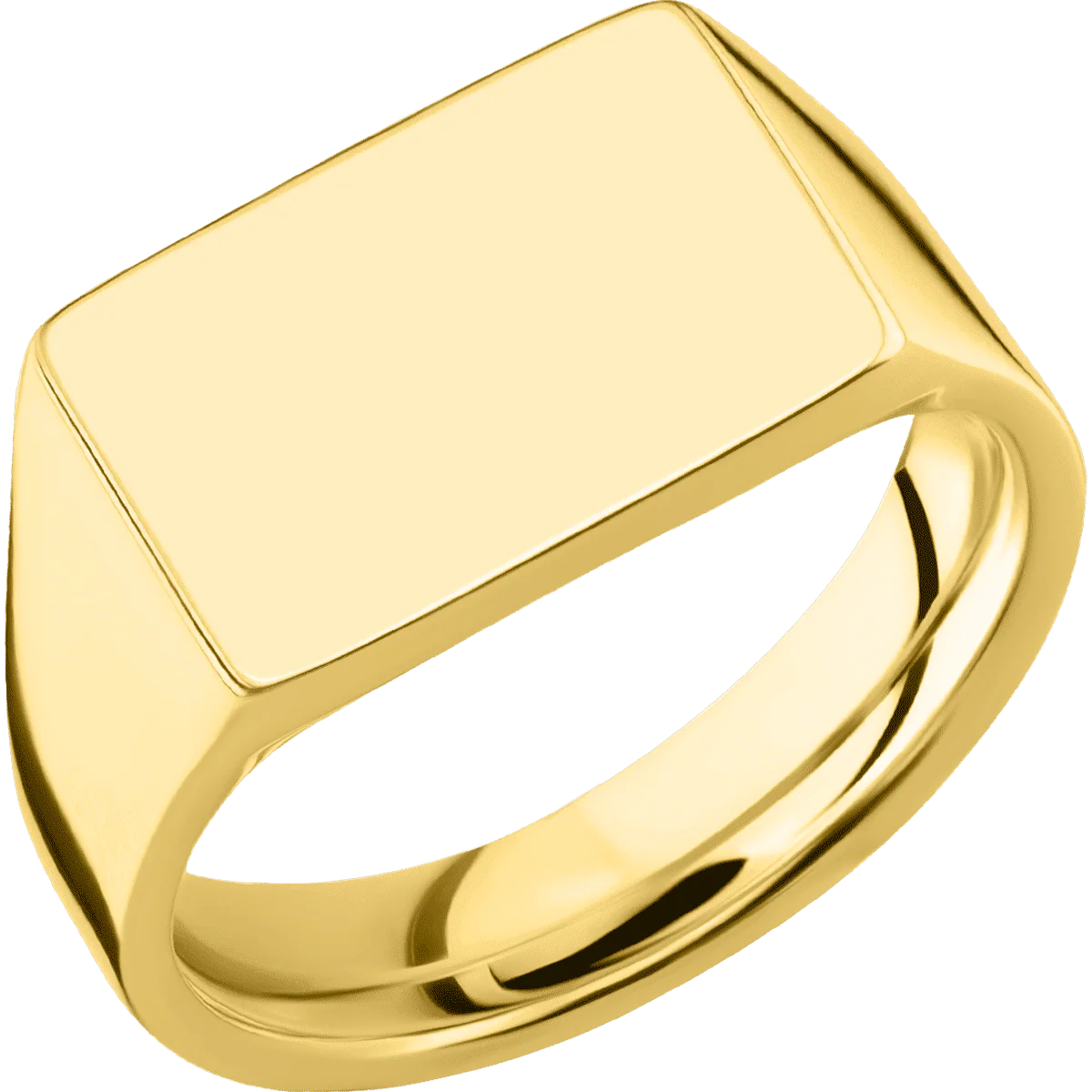 Medium Horizontal Rectangle signet ring (16x11.5mm) in 14K Yellow Gold, with a Wide style band. - Image 2