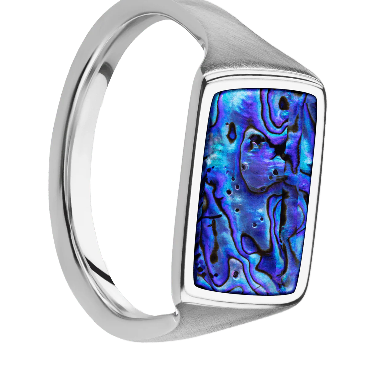 Medium Horizontal Rectangle signet ring (16x11.5mm) in Cobalt Chrome, with a Thin style band, a Blue Purple Abalone inlay.