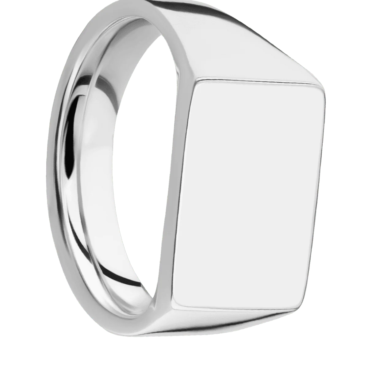 Medium Horizontal Rectangle signet ring (16x11.5mm) in Palladium Silver, with a Wide style band.