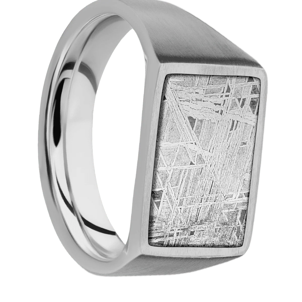 Medium Horizontal Rectangle signet ring (16x11.5mm) in Titanium, with a Wide style band, a Meteorite inlay.