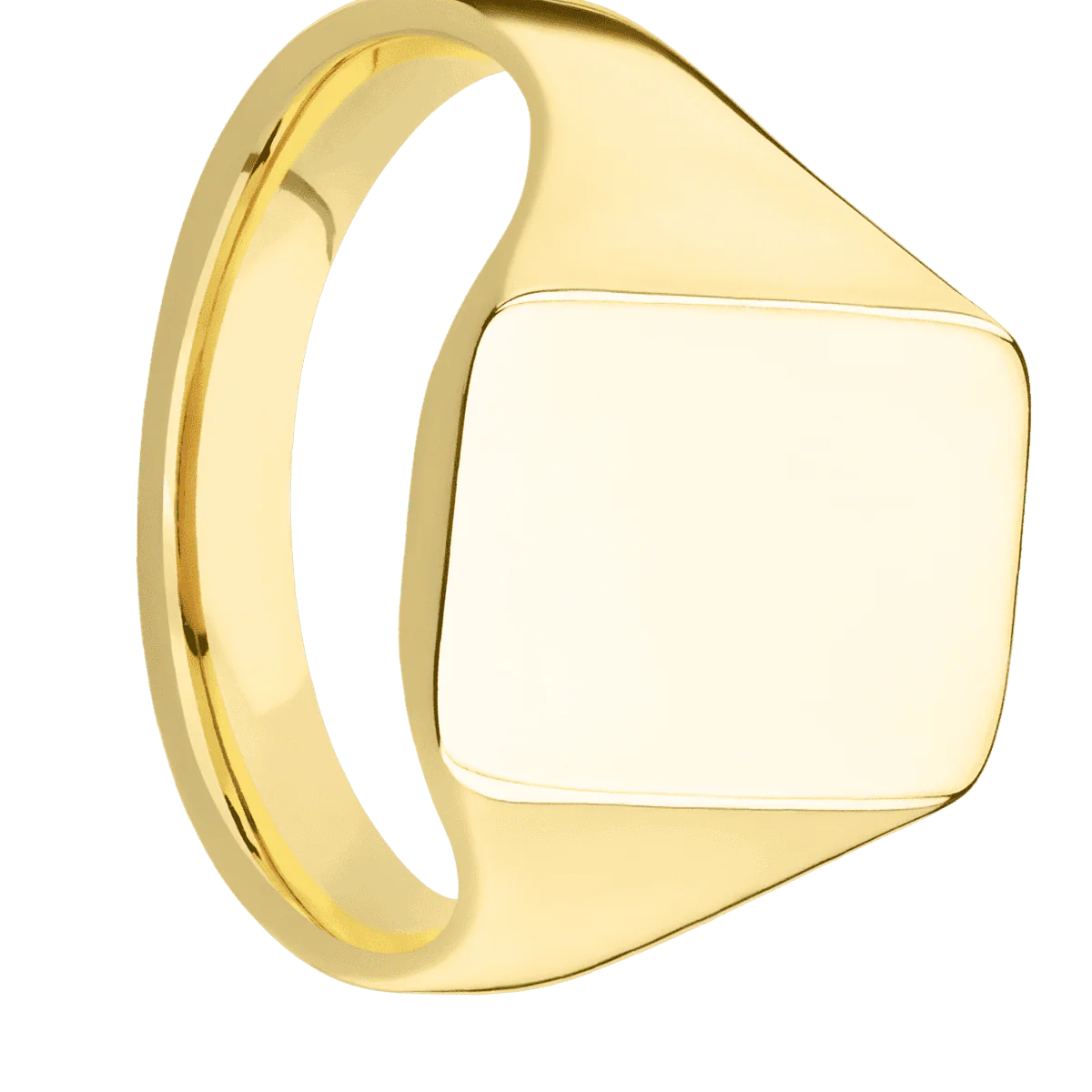 Medium Rectangle signet ring (16x11.5mm) in 14K Yellow Gold, with a Thin style band.