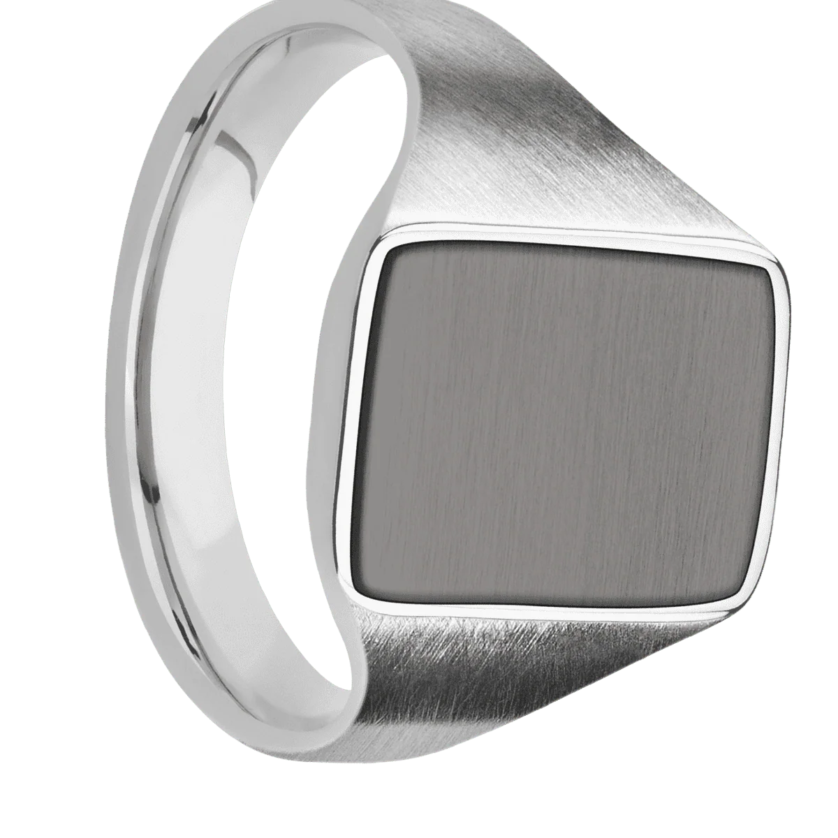 Medium Rectangle signet ring (16x11.5mm) in Palladium Silver, with a Thin style band, a Tantalum Noir inlay.