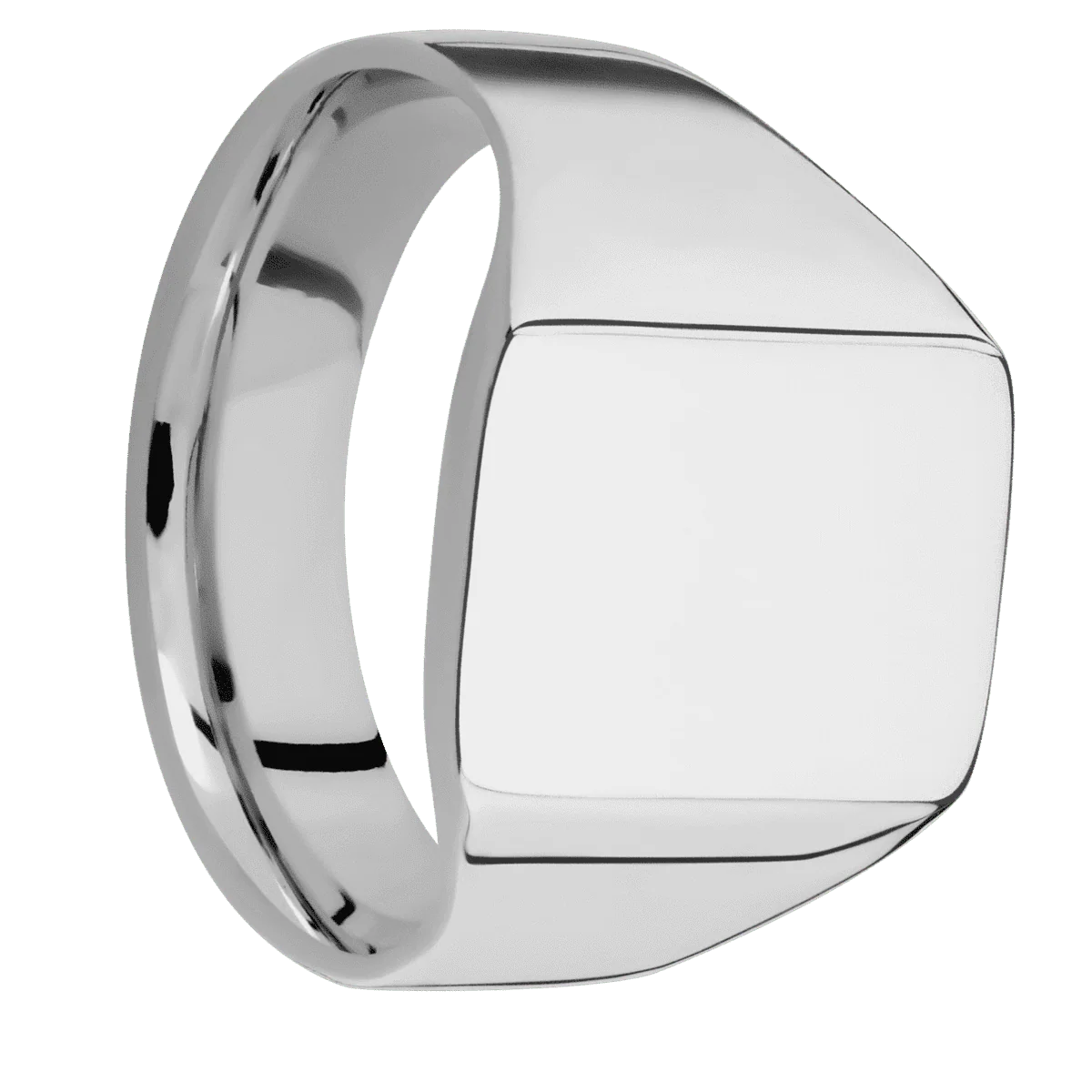 Medium Rectangle signet ring (16x11.5mm) in Titanium, with a Wide style band.