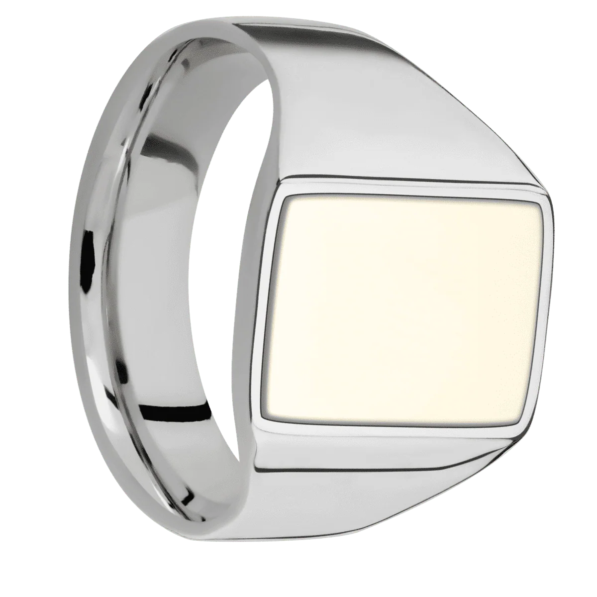 Medium Rectangle signet ring (16x11.5mm) in Titanium, with a Wide style band, a 14K Yellow Gold inlay.