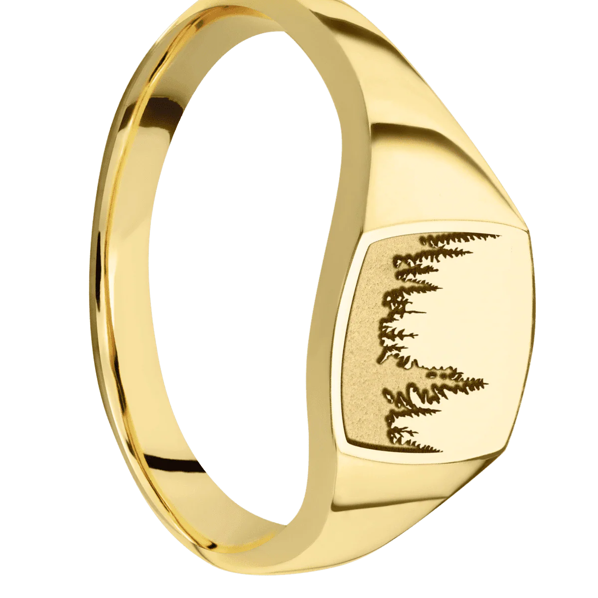 Small Cushion signet ring (10x10mm) in 10K Yellow Gold, with a Thin style band and a Trees engraving.
