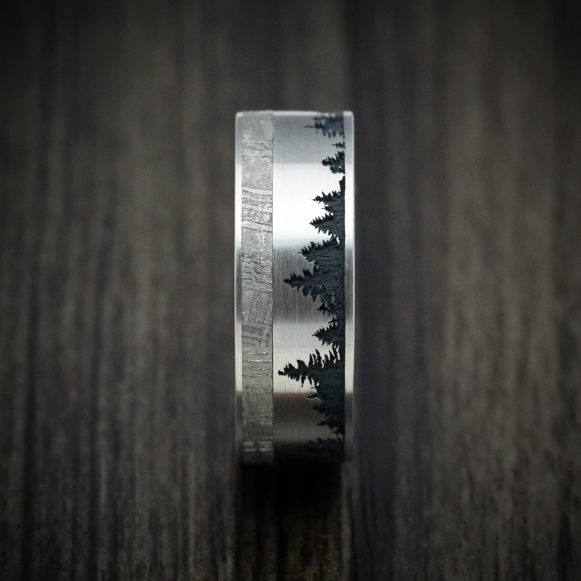 Titanium Men's Ring with Spruce Pine Tree Design, Wood Sleeve and Gibeon Meteorite Inlay Custom Made Band - Image 3