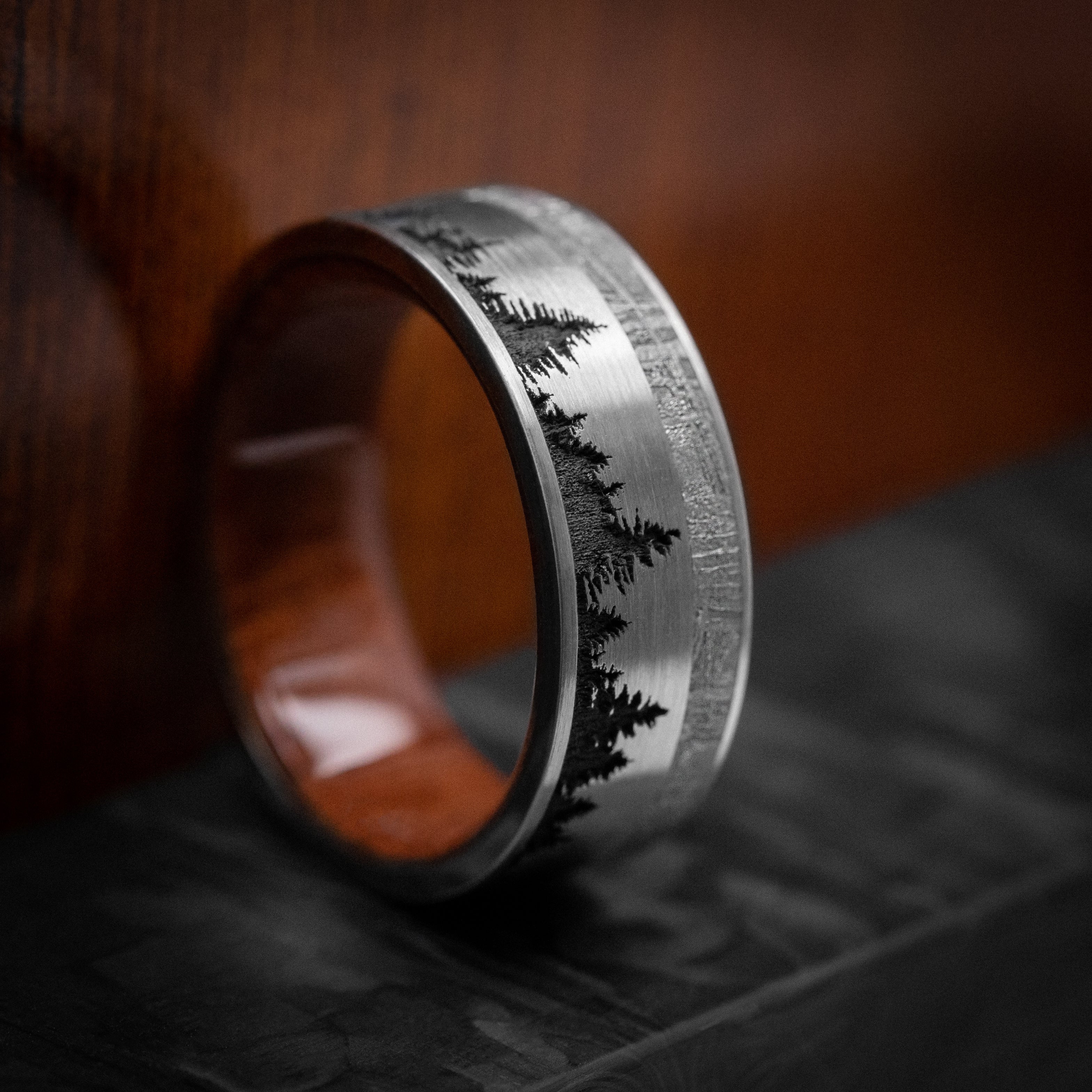 Titanium Men's Ring with Spruce Pine Tree Design, Wood Sleeve and Gibeon Meteorite Inlay Custom Made Band - Image 5