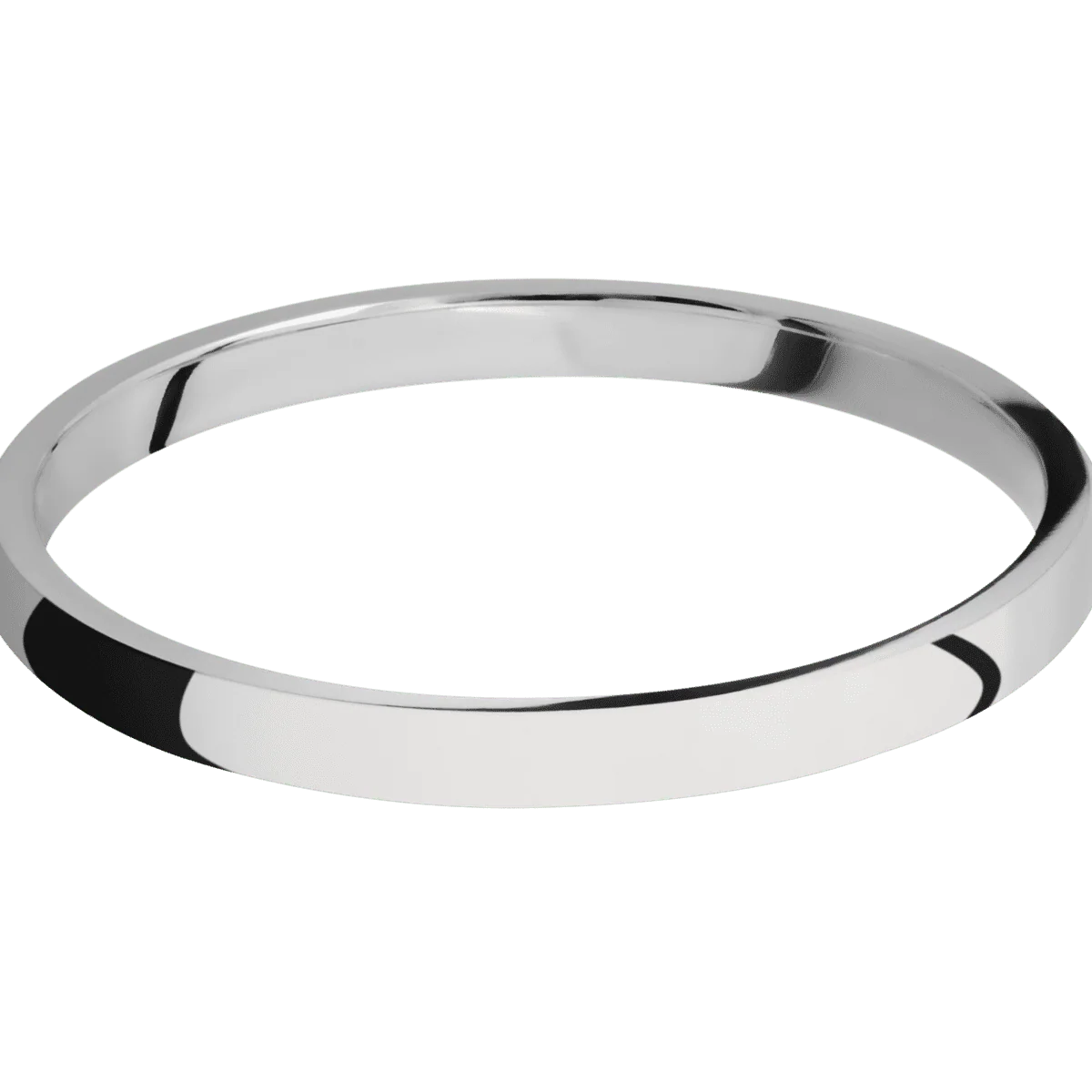 Titanium + Polish Finish - Image 3