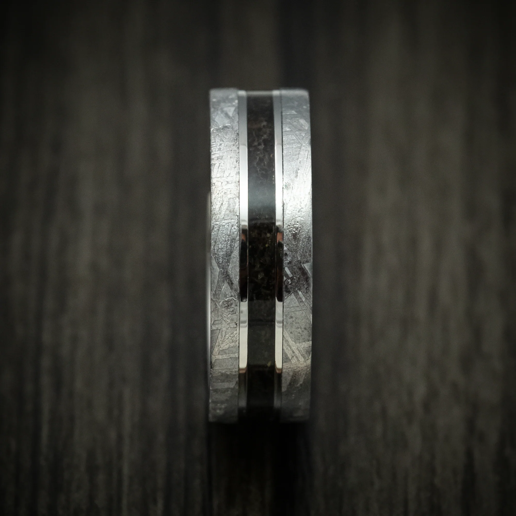 Titanium Men's Ring with Dinosaur Bone and Gibeon Meteorite Custom Made Band - Image 3