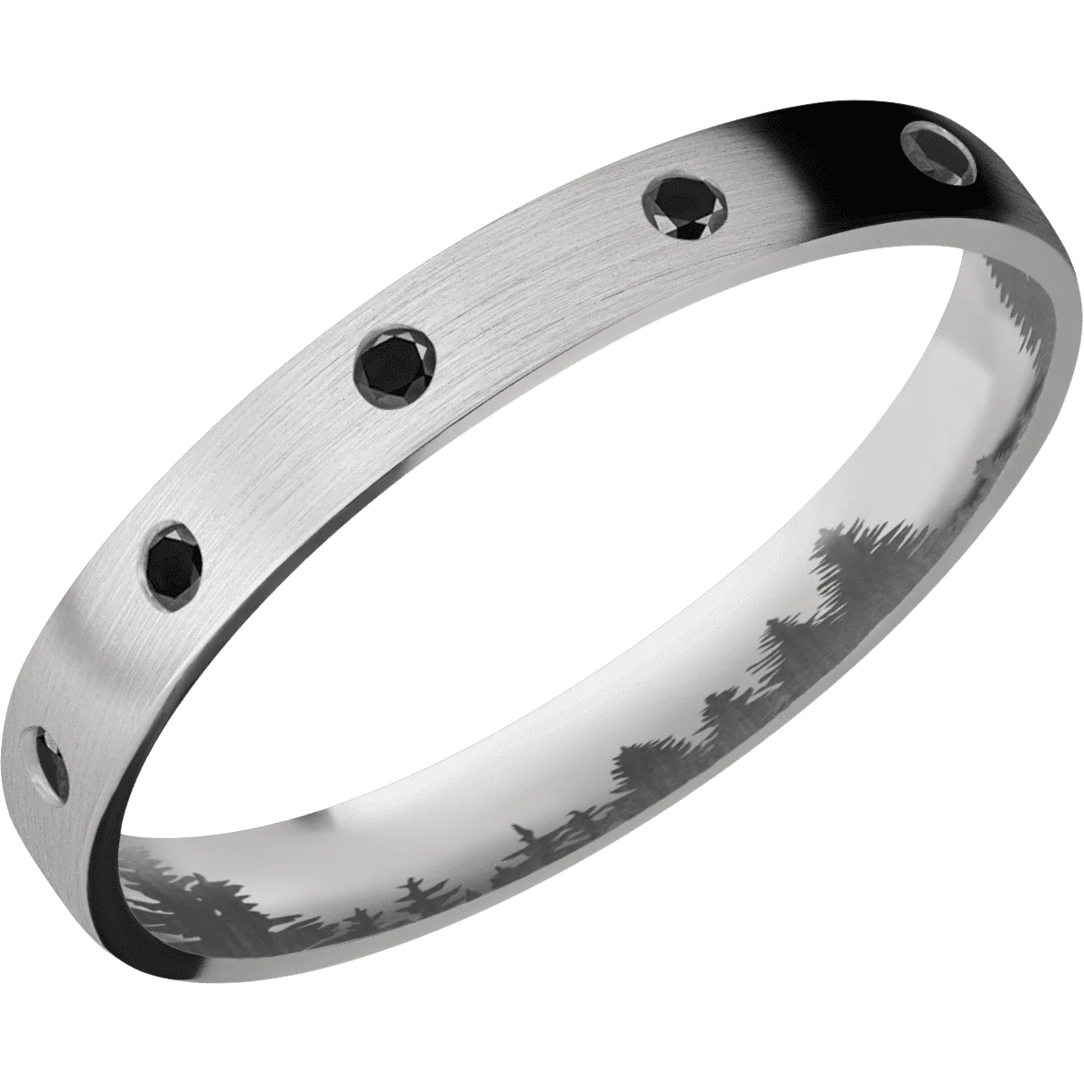Titanium + Satin Finish - Image 2